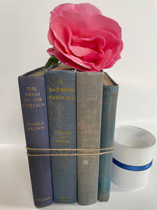 Blue Vintage Book Bundle | Antique Blue Book Set for Shelf Decor